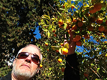 Orangenpflücker im Jardin del Bisbe